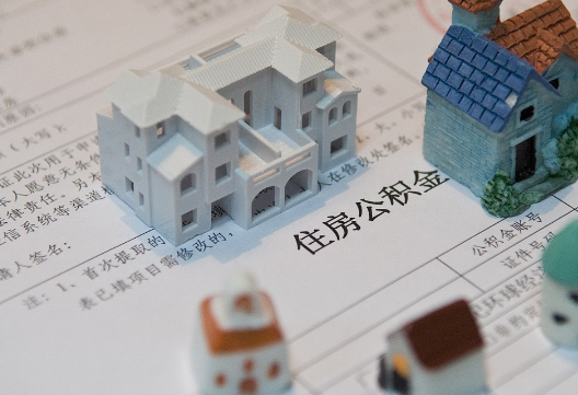 嘉鱼退休提取公积金指南